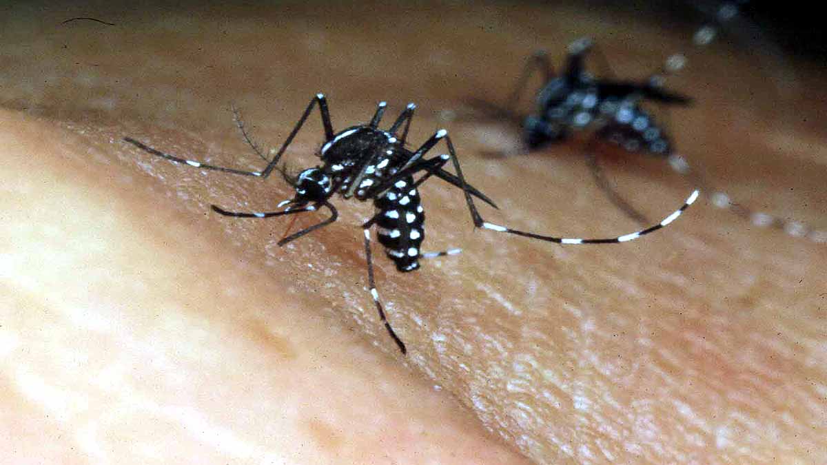 Invasive Species causing crores of Damages