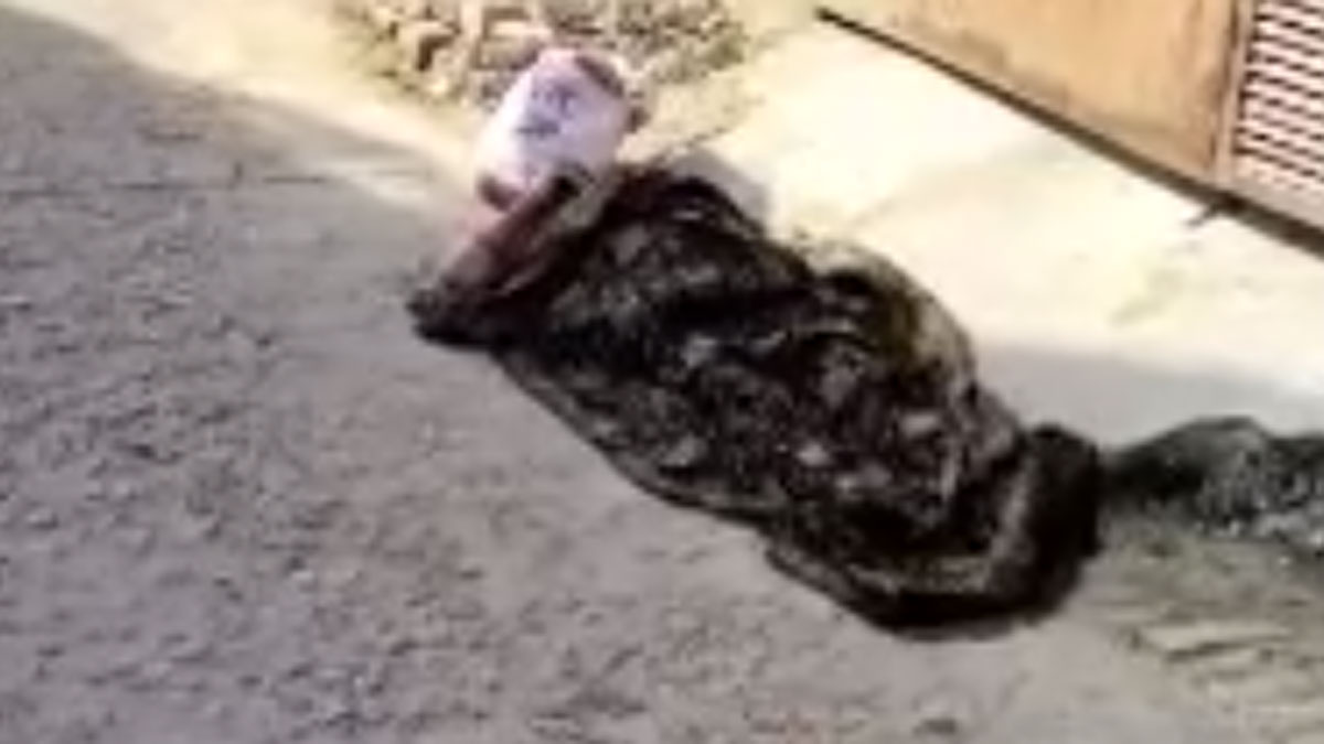  बेटे ने बुजुर्ग मां को घर से बाहर निकाला 