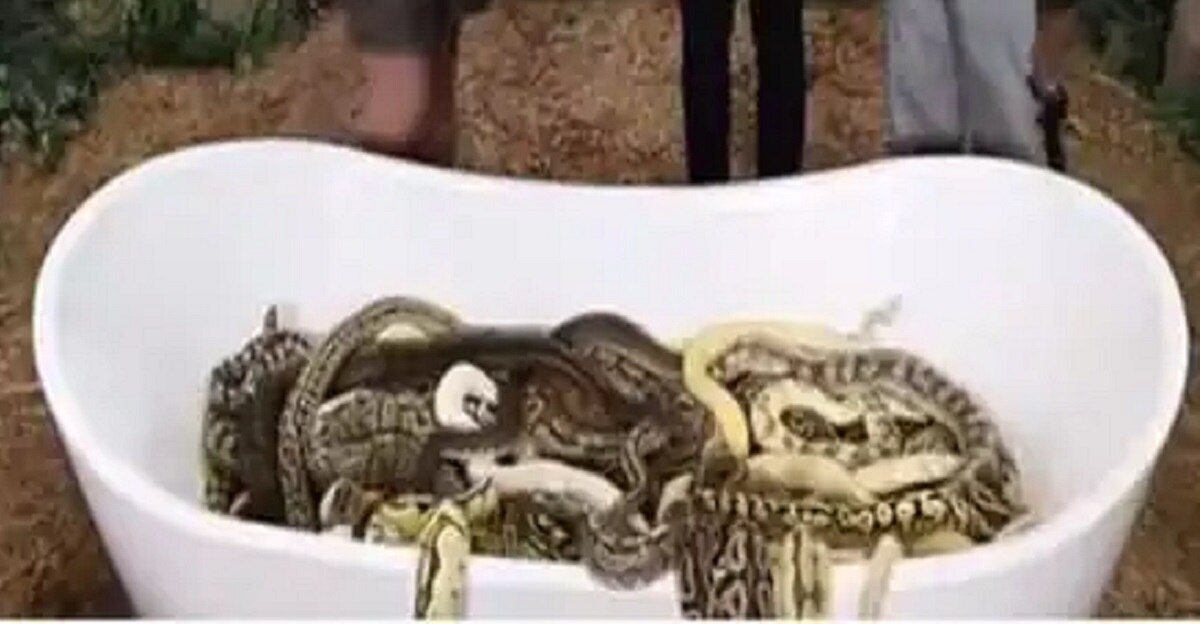 youtuber mr beast challenge