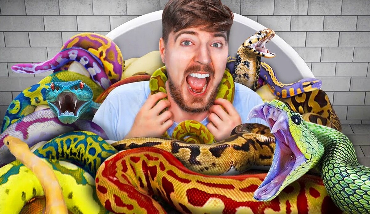 youtuber mr beast challenge