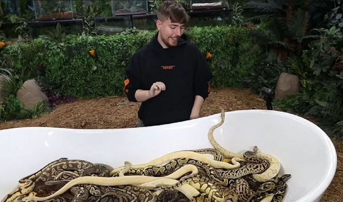 youtuber mr beast challenge