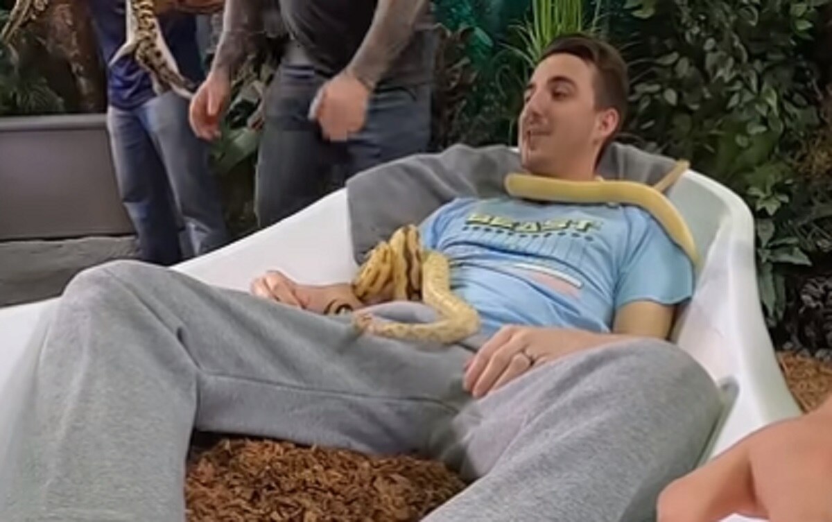 youtuber mr beast challenge