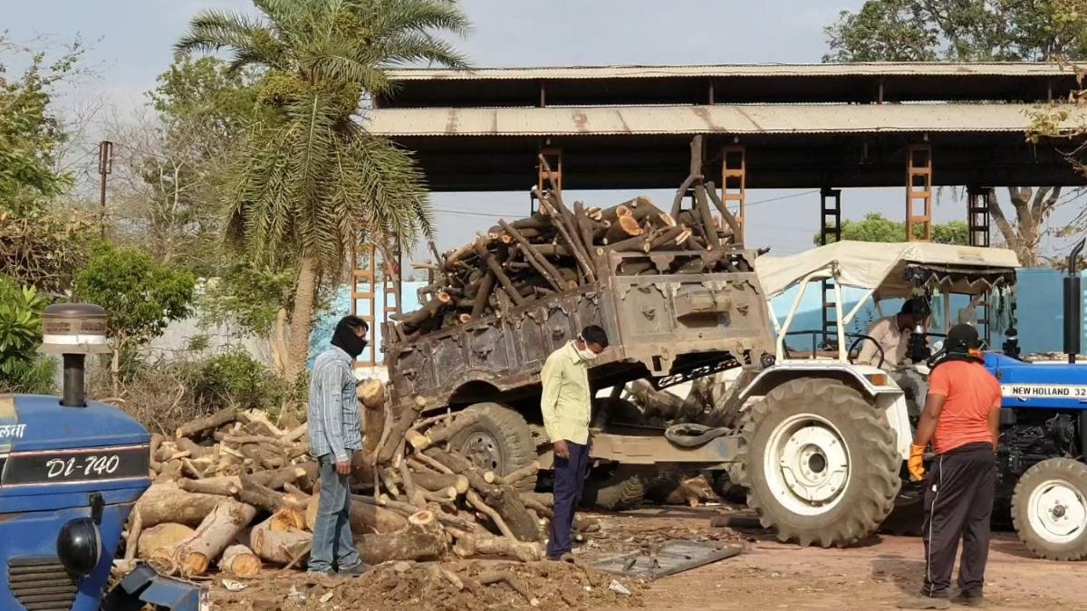 मुक्तिधाम में 15 हजार किलो लकड़ियों का ढेर