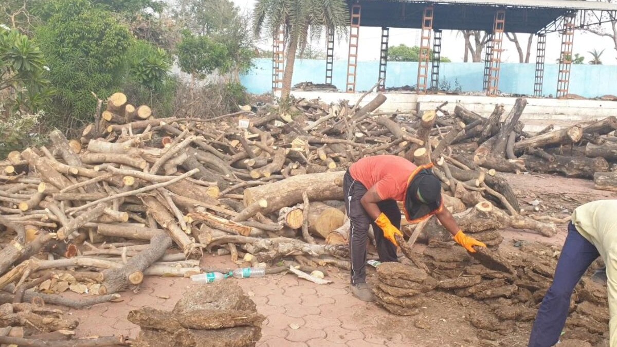 मुक्तिधाम में 15 हजार किलो लकड़ियों का ढेर