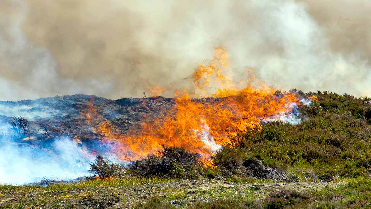 Nepal Hit by Worst wildfire 