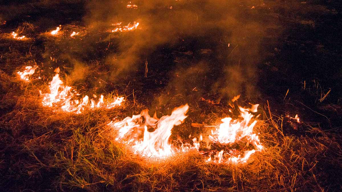 Nepal Hit by Worst wildfire 