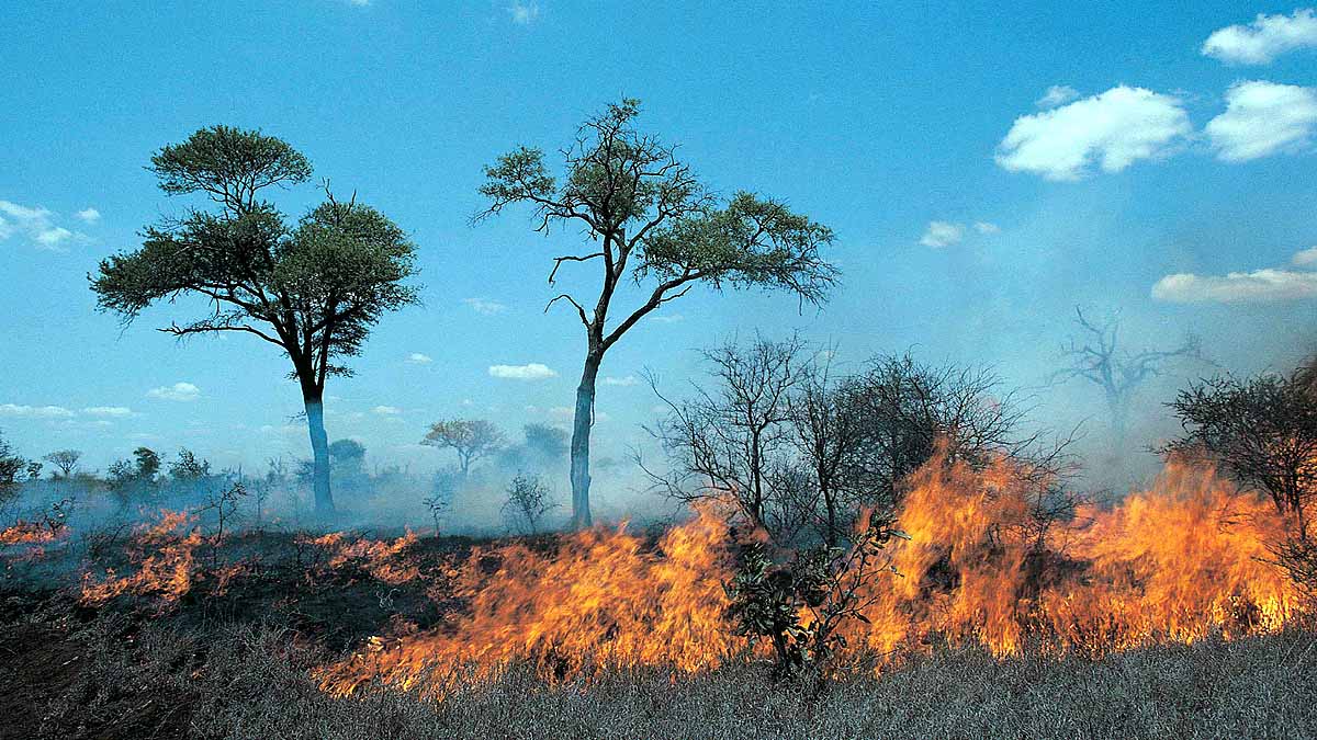 Nepal Hit by Worst wildfire 