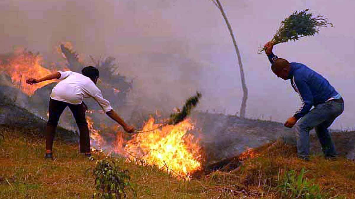 Nepal Hit by Worst wildfire 