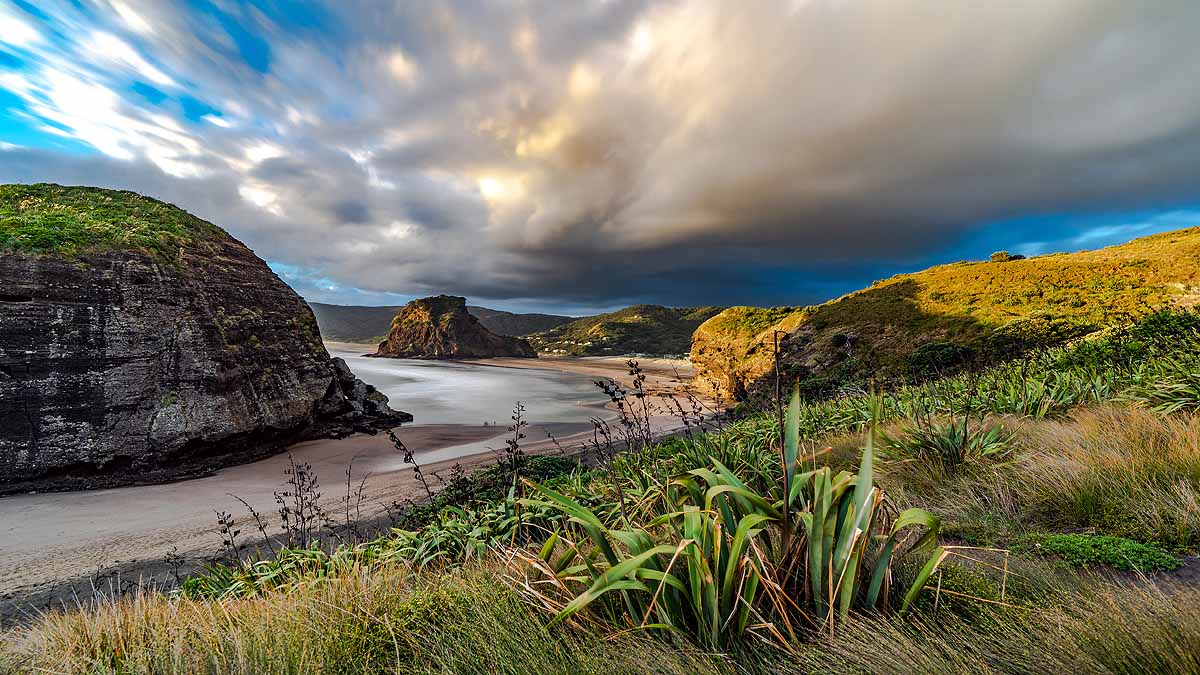 New Zealand Climate Change Law