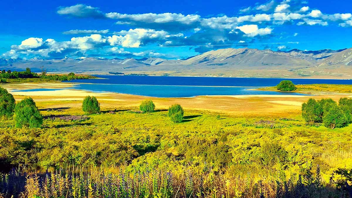 New Zealand Climate Change Law