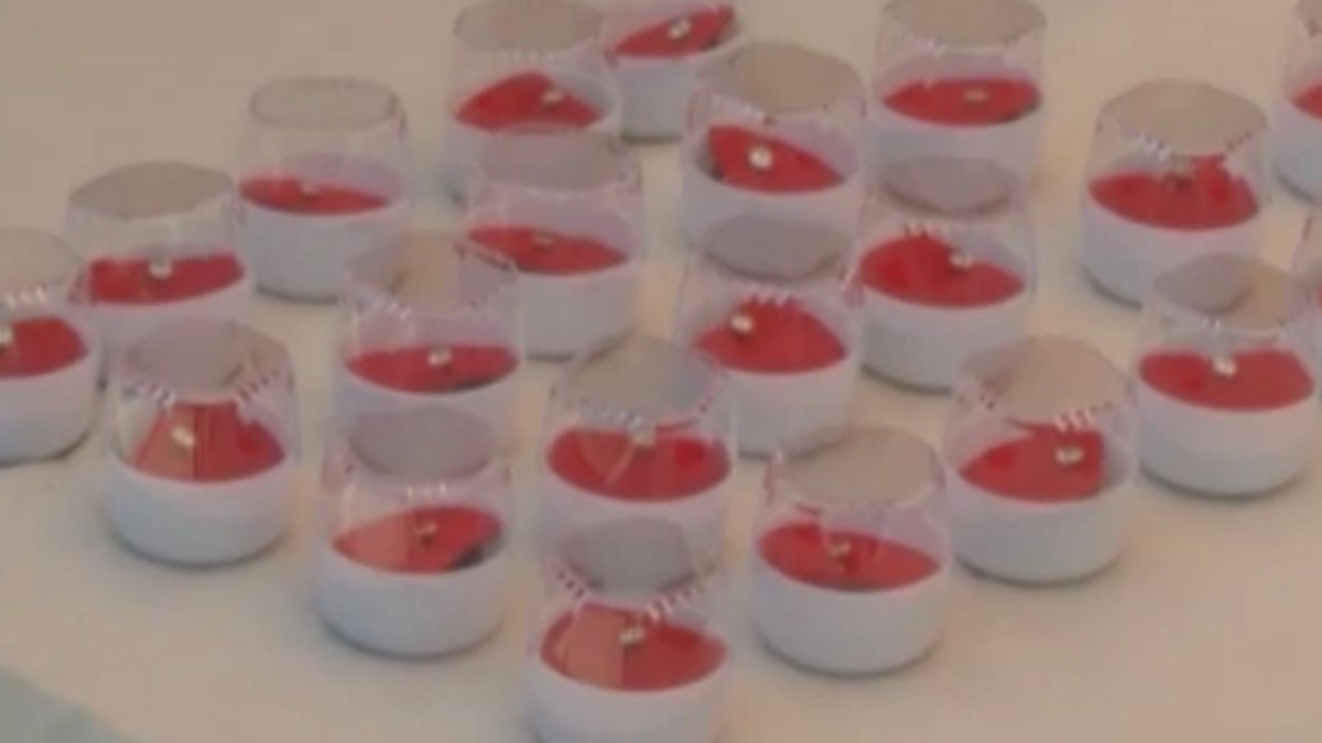 महिलाओं को सोने की नोज पिन और पुरुषों को हैंड ब्लेंडर गिफ्ट