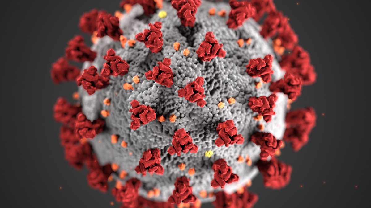  देश में तेज हो रहा कोरोना का कहर, इस गांव के आधे लोग निकले पॉजिटिव