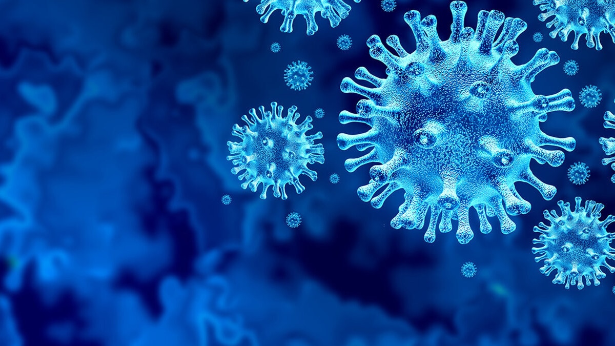  देश में तेज हो रहा कोरोना का कहर, इस गांव के आधे लोग निकले पॉजिटिव