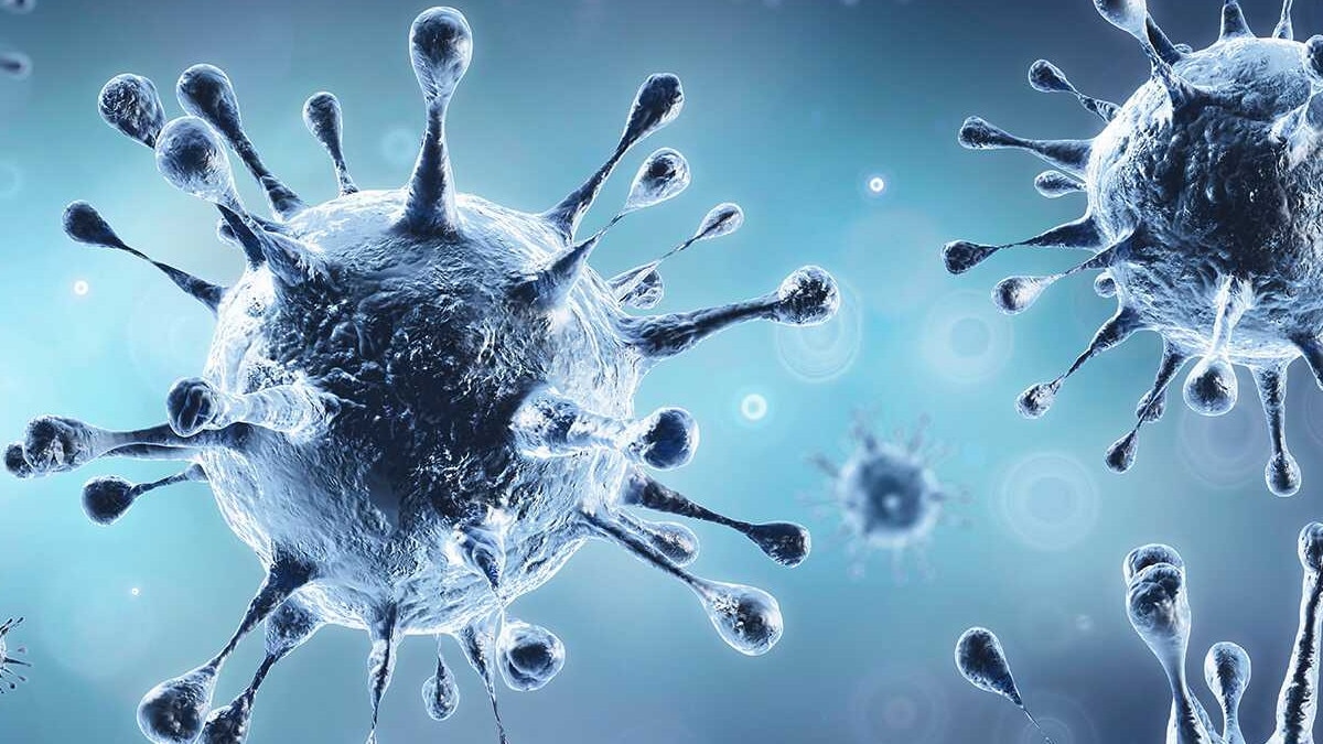 रायपुर में मॉर्चुरी के बाहर लगी शवों की लाइन, BJP नेता ने शेयर किया गया Video 