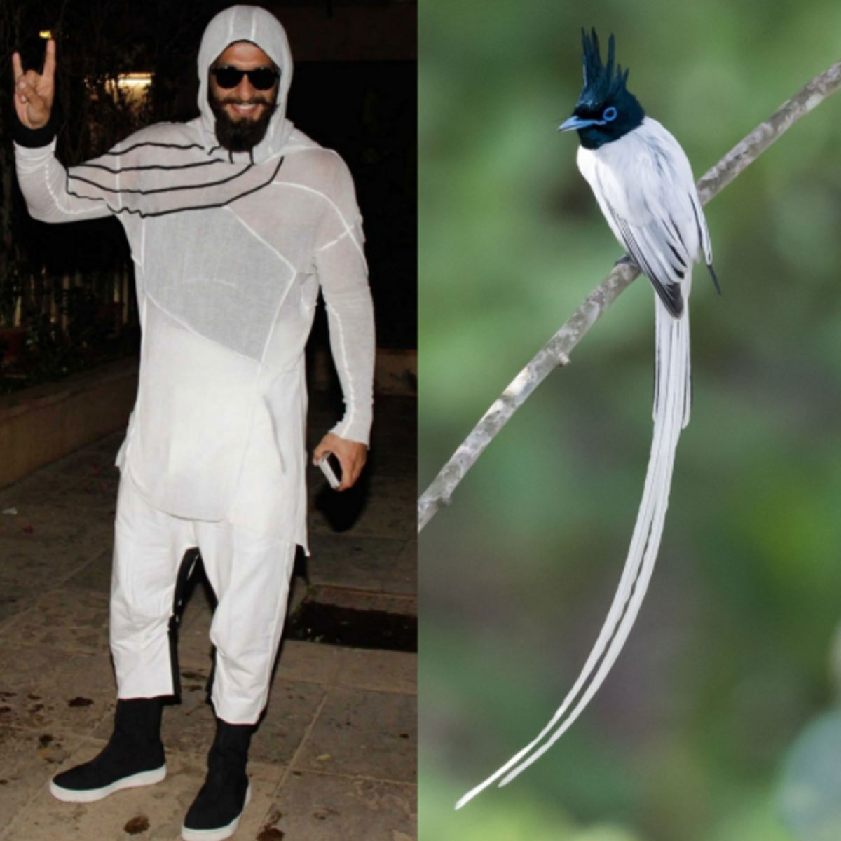 रणवीर सिंह 