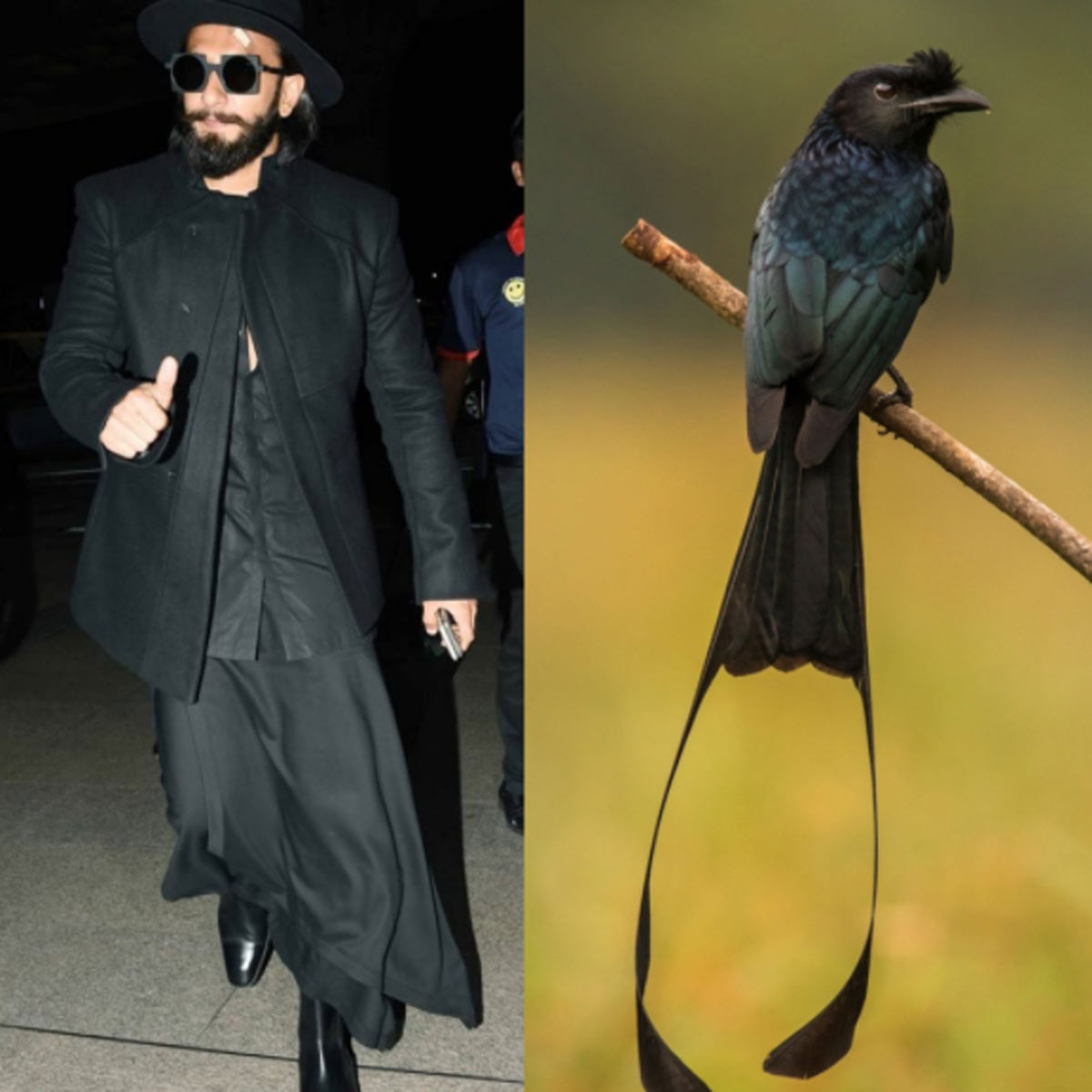 रणवीर सिंह 