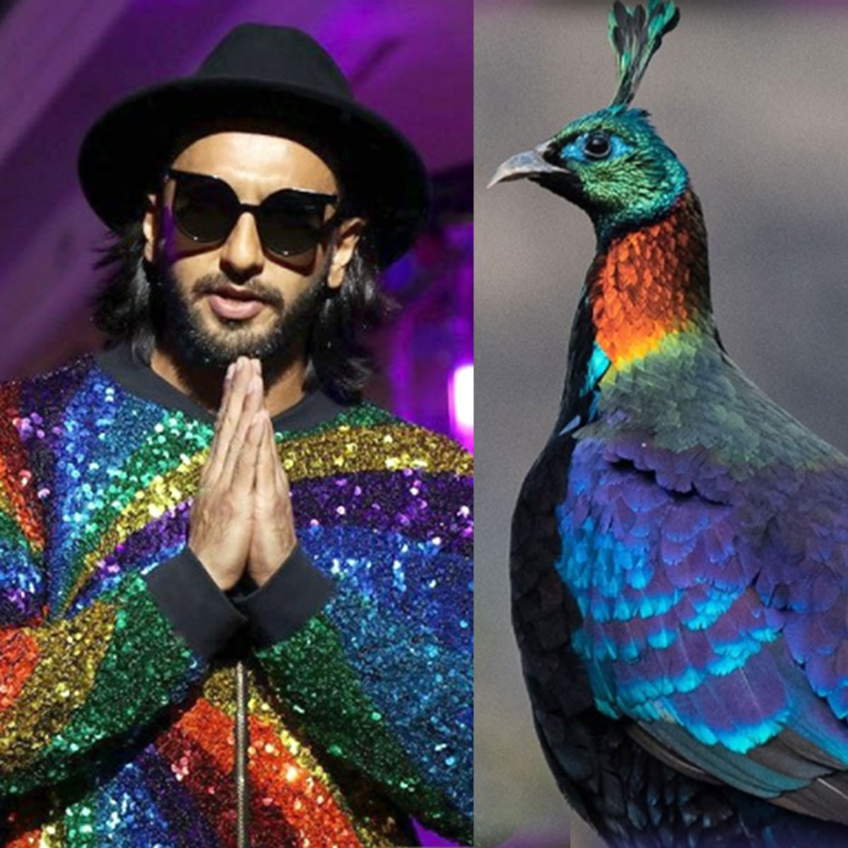 रणवीर सिंह 