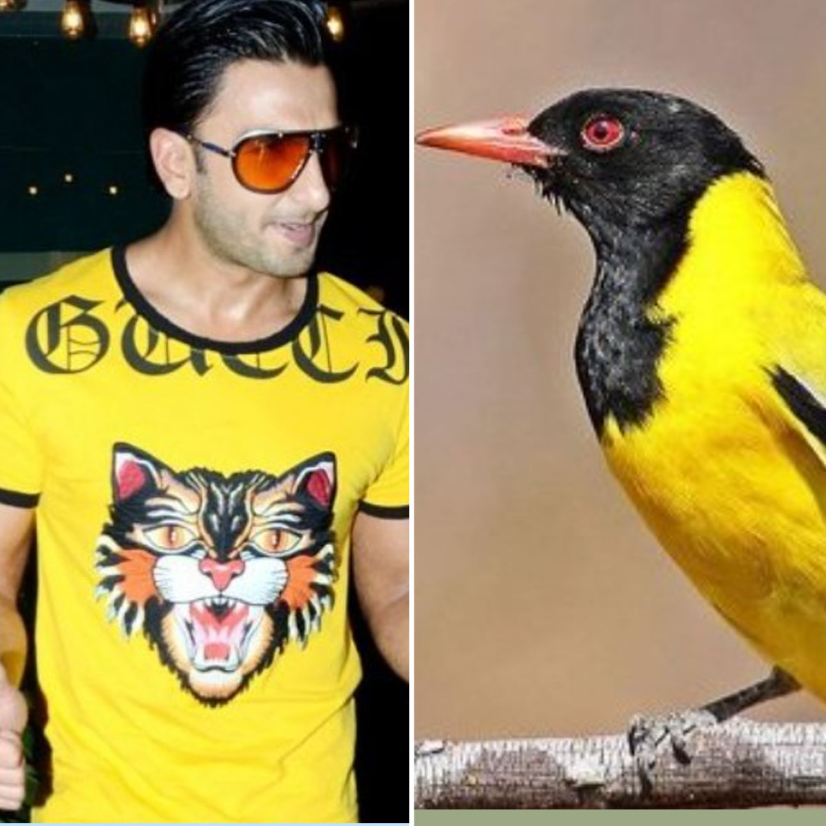 रणवीर सिंह 