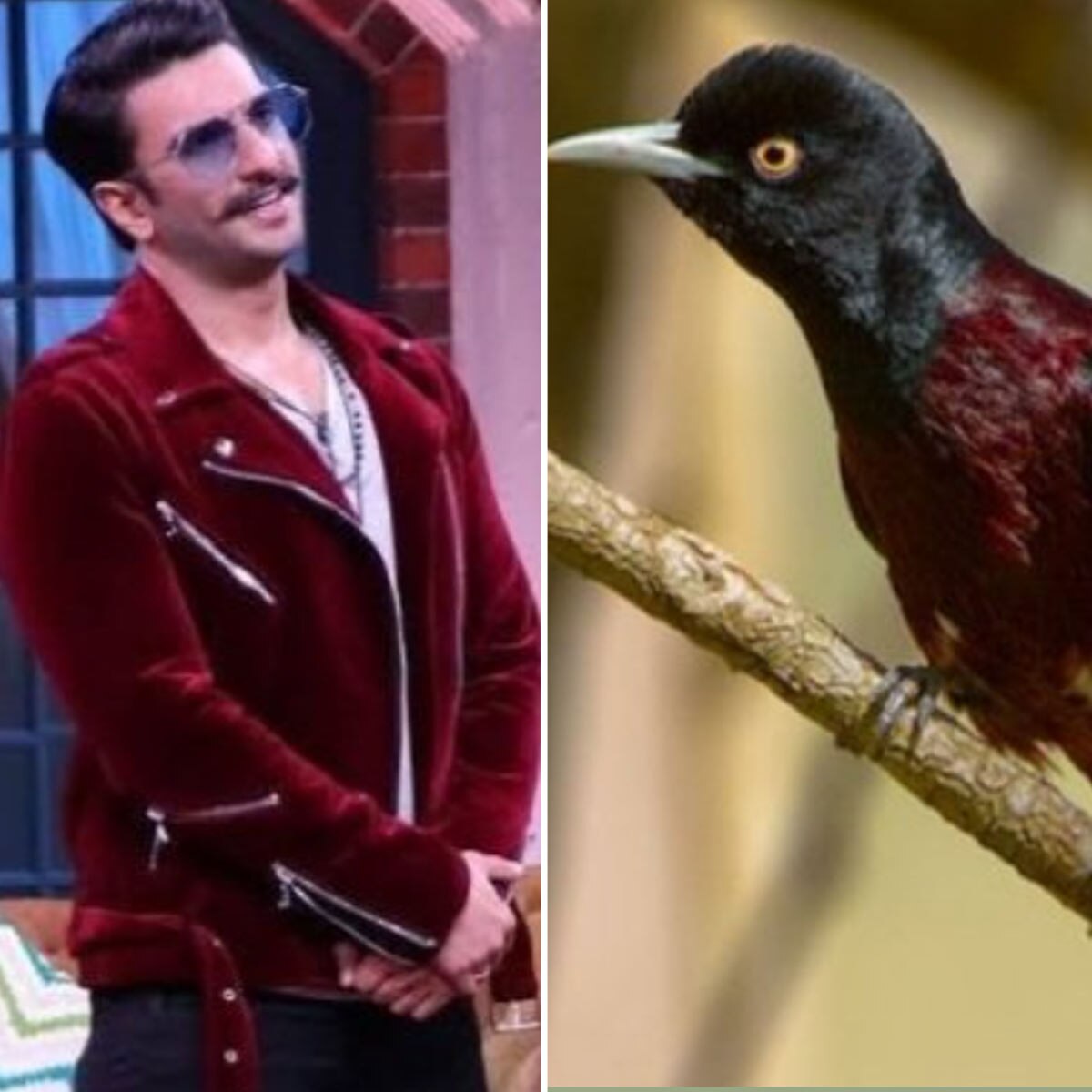 रणवीर सिंह 