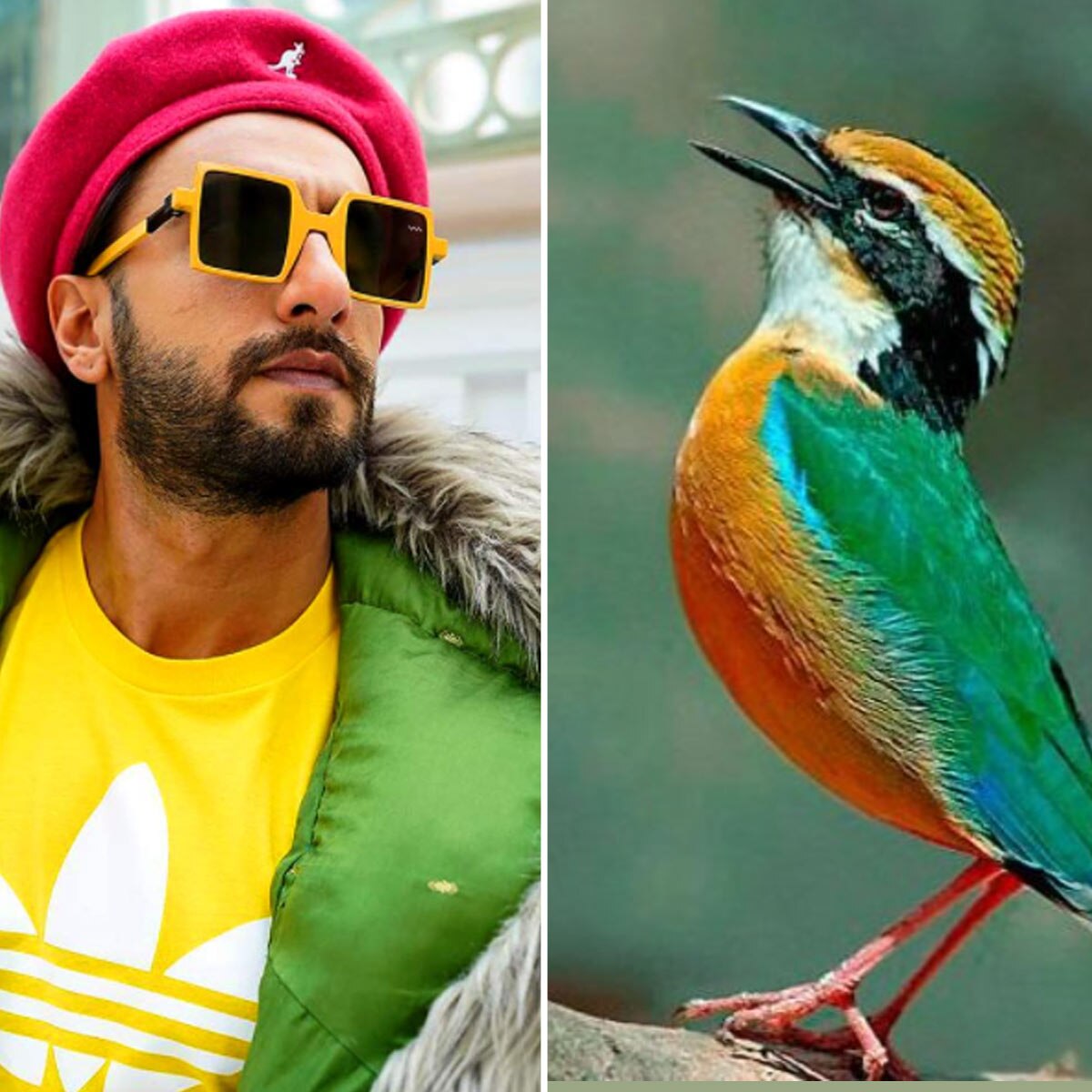 रणवीर सिंह 