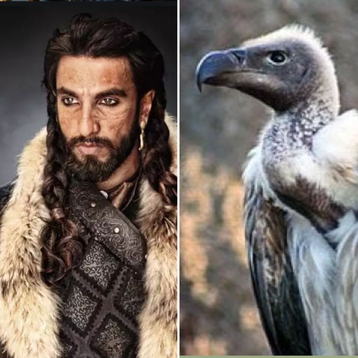 रणवीर सिंह 