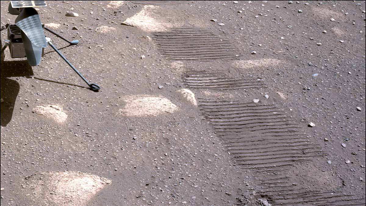 Green Rock on Red Mars