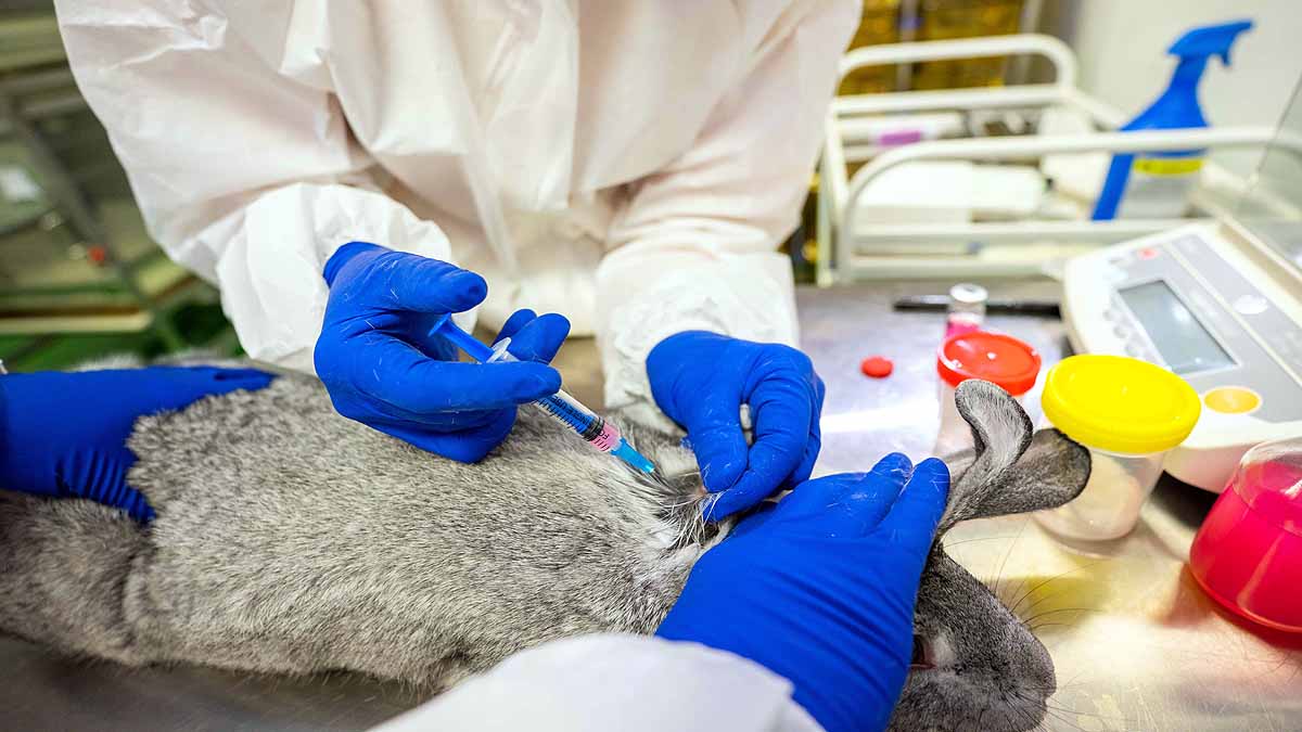 World's First Covid-19 Vaccine for Animals