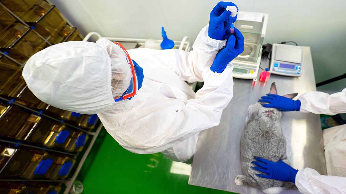 Sputnik-V Vaccine for Animals