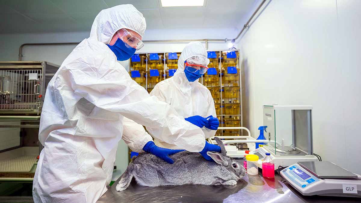 World's First Covid-19 Vaccine for Animals