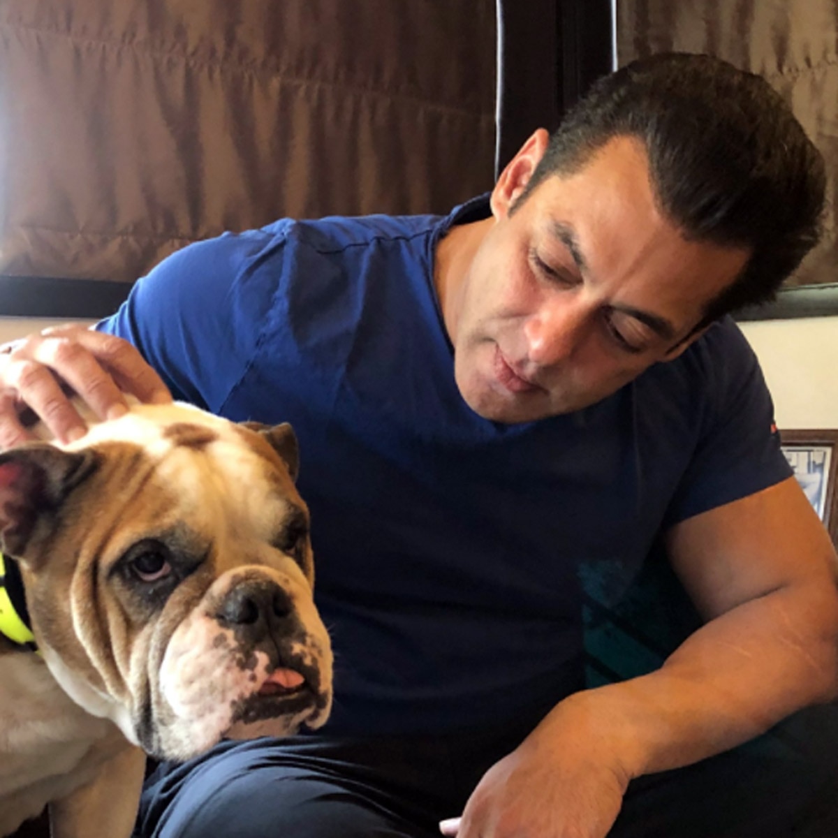 सलमान खान