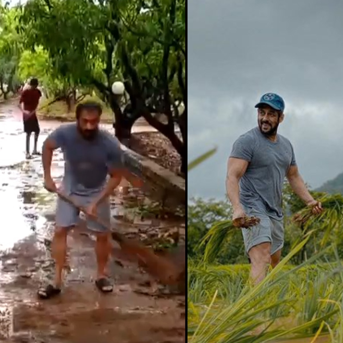 सलमान खान