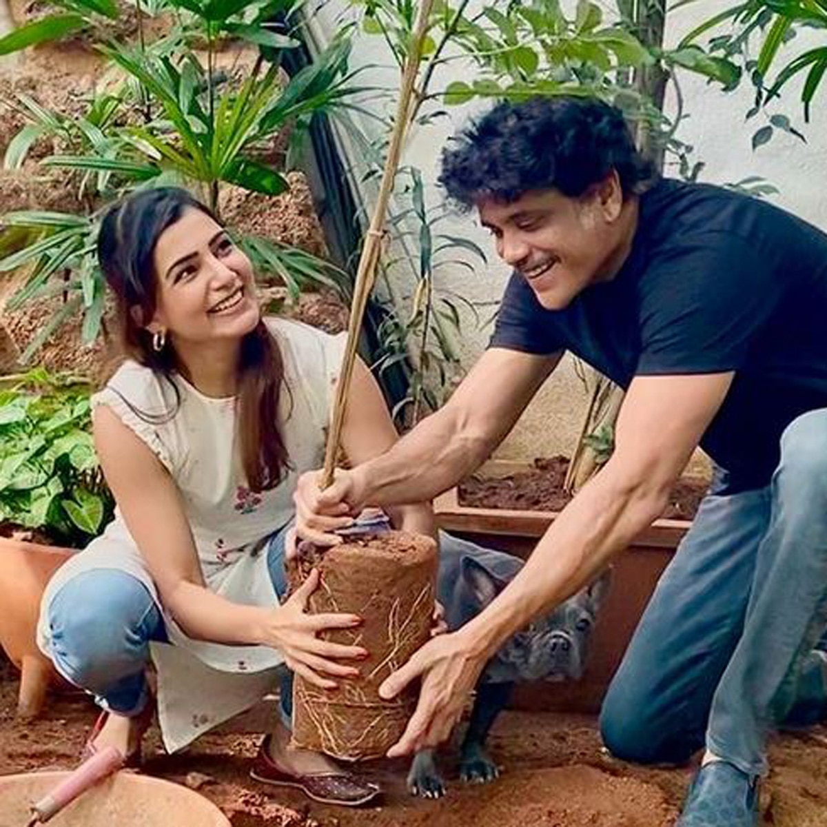 नागार्जुन संग सामंथा