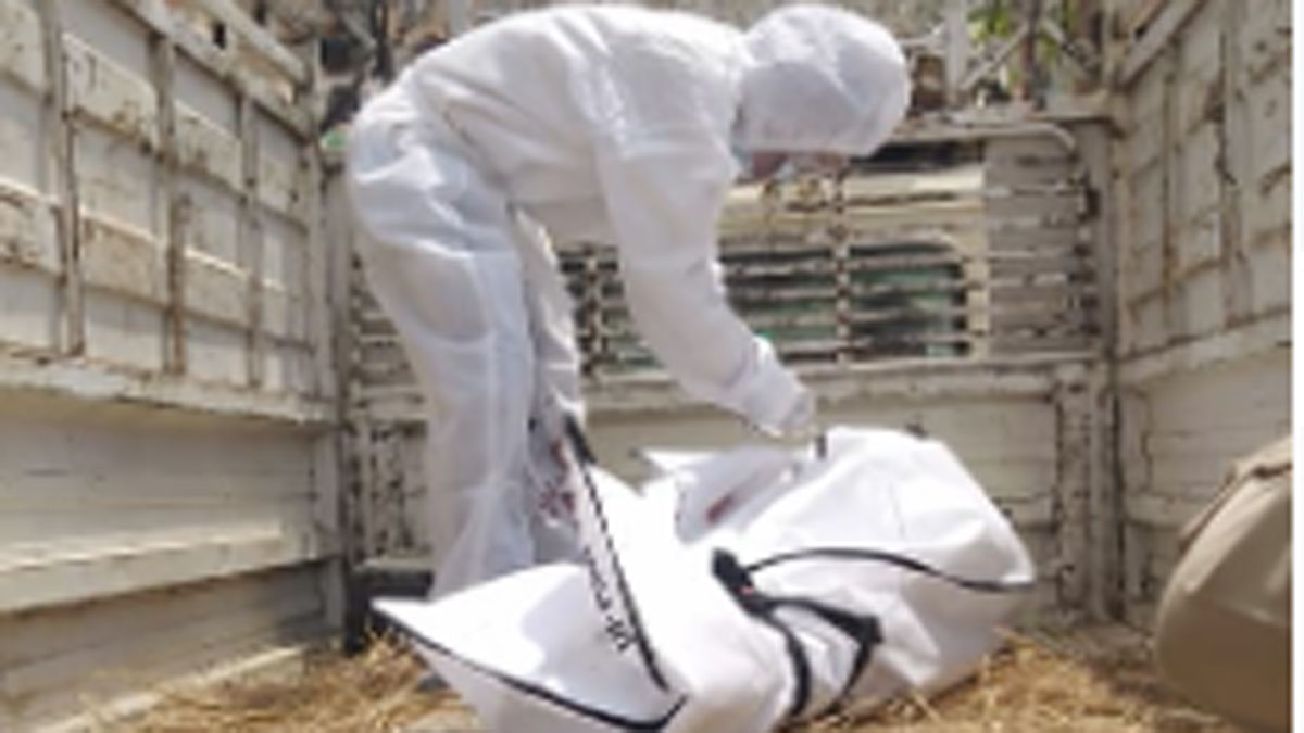 तीन दिन से मृत पड़ी हुई थी कोरोना पॉजिटिव बुजुर्ग महिला