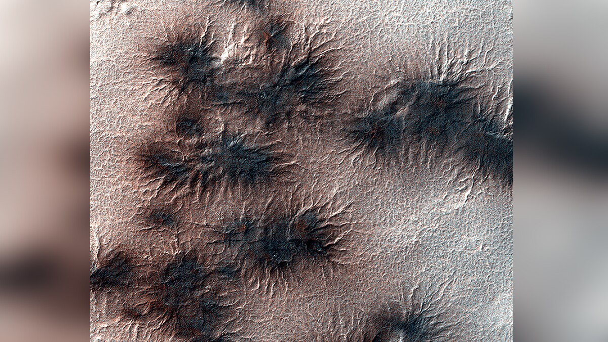 Secret of Spider on Mars Explained