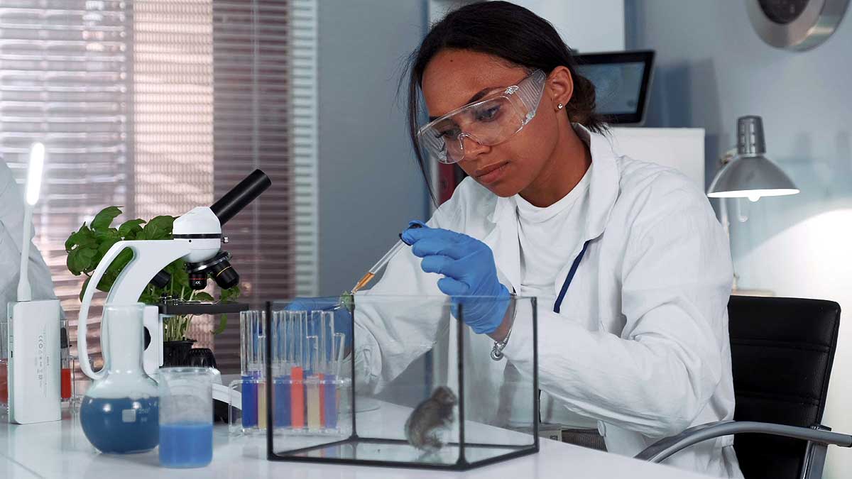 Sputnik-V Vaccine for Animals