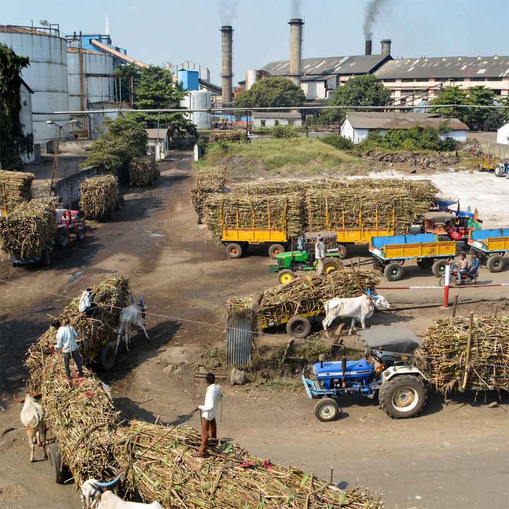 pakistan sugar price