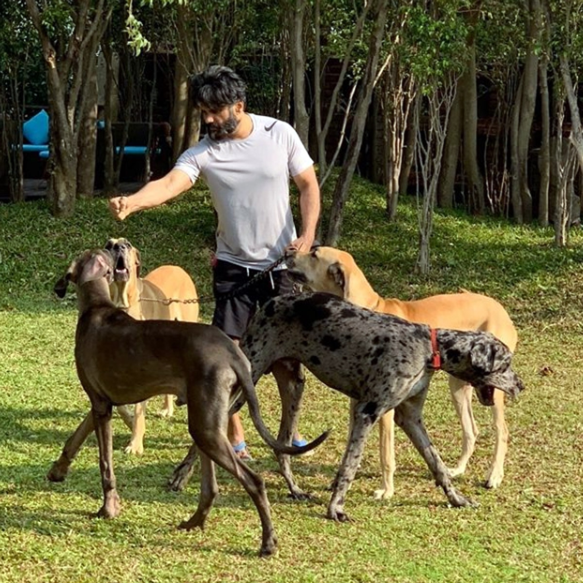 सुनील शेट्टी