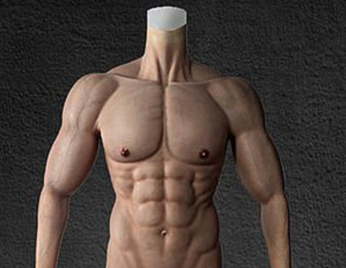 muscle suits body costume