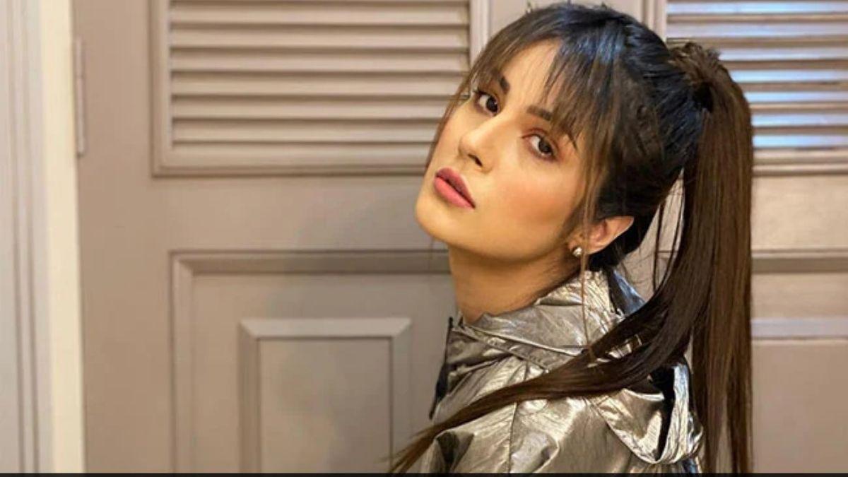 शहनाज गिल का वायरल हो रहा ग्लैमरस लुक, फैंस ने किया रिएक्ट, PHOTOS