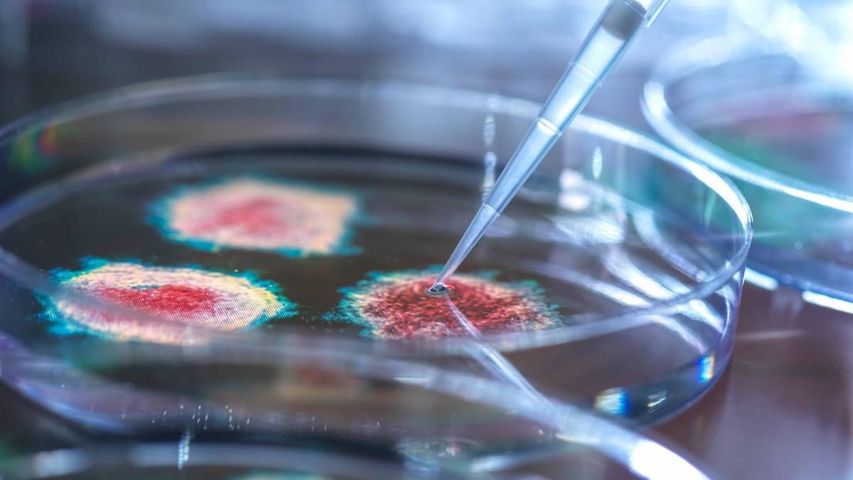 Corona: अपनी कमजोर इम्युनिटी को कैसे पहचानें, ये हैं 5 लक्षण