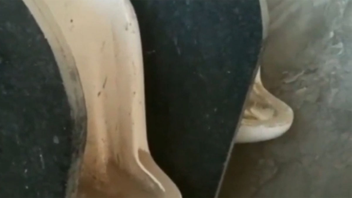 5 कोरोना पॉजिटिव मजदूरों को शौचालय में किया क्वारंटाइन