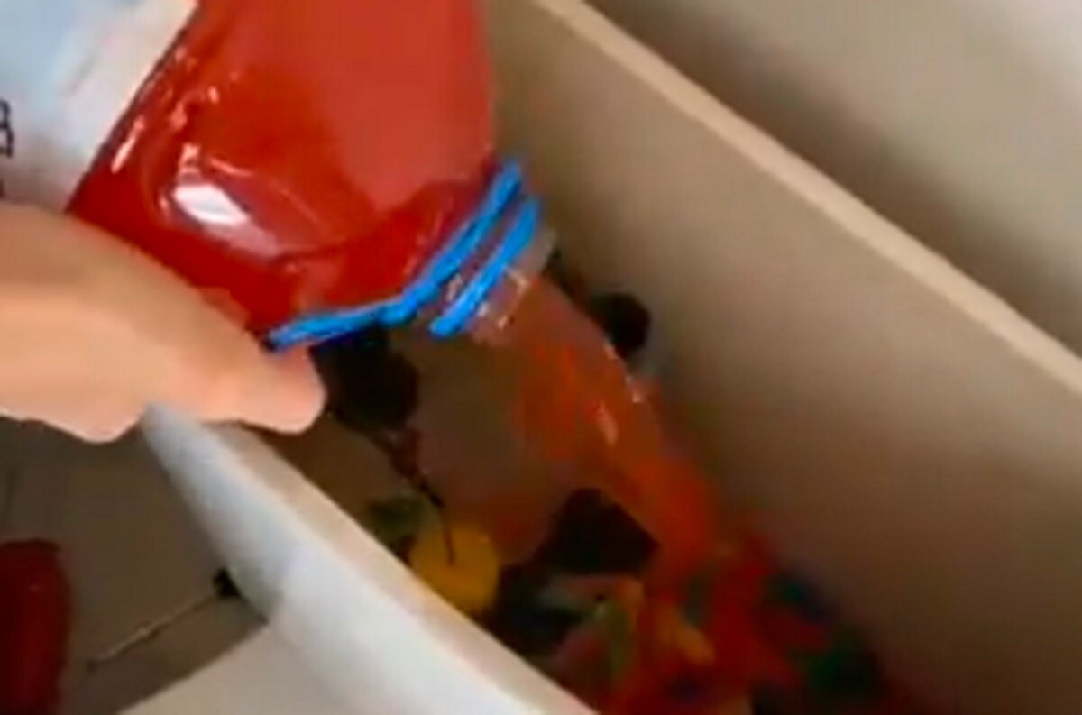 टॉयलेट के कमोड में बनाया जूस