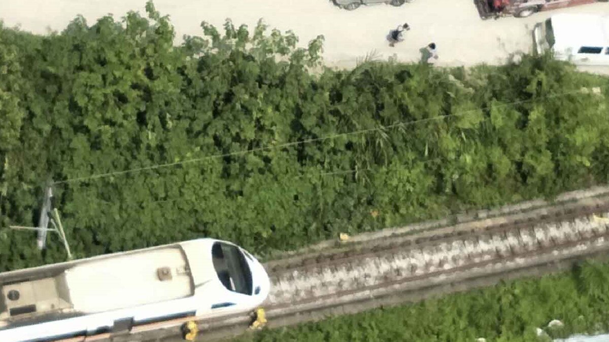 ताइवान: ट्रक से टकराकर पटरी से उतरी ट्रेन, सबसे बुरे हादसे में 36 लोगों की मौत 