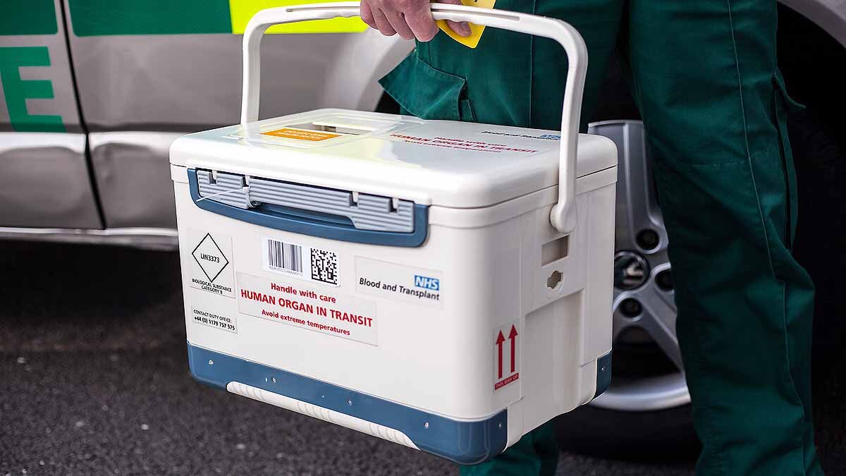 transplantable livers in lab