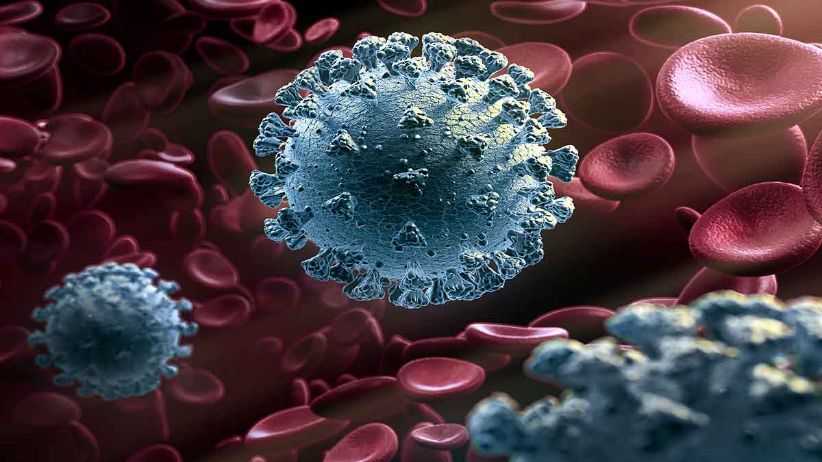 Triple Mutant Coronavirus in India