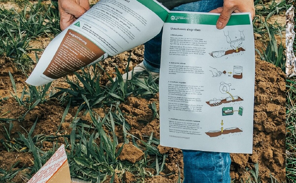 मिट्टी के अंदर सफेद अंडरवियर