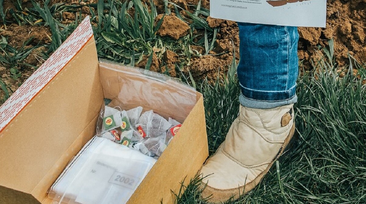 मिट्टी के अंदर सफेद अंडरवियर