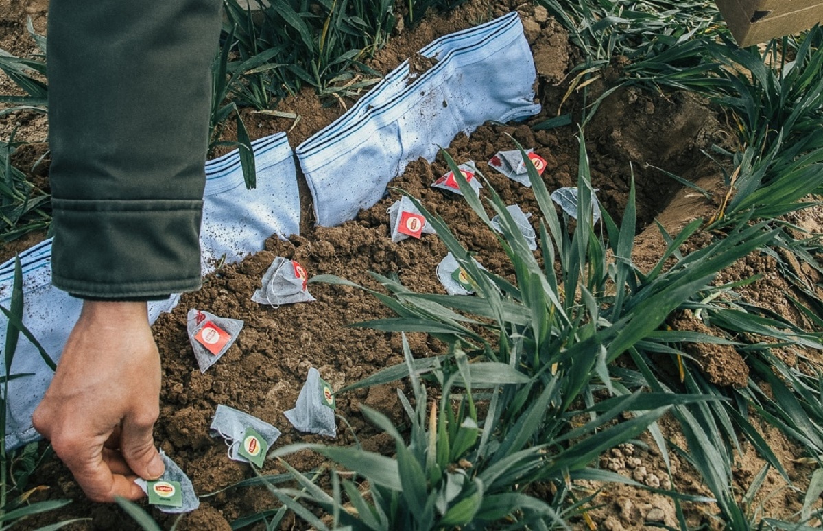 मिट्टी के अंदर सफेद अंडरवियर