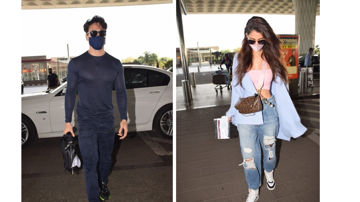 टाइगर-दिशा 