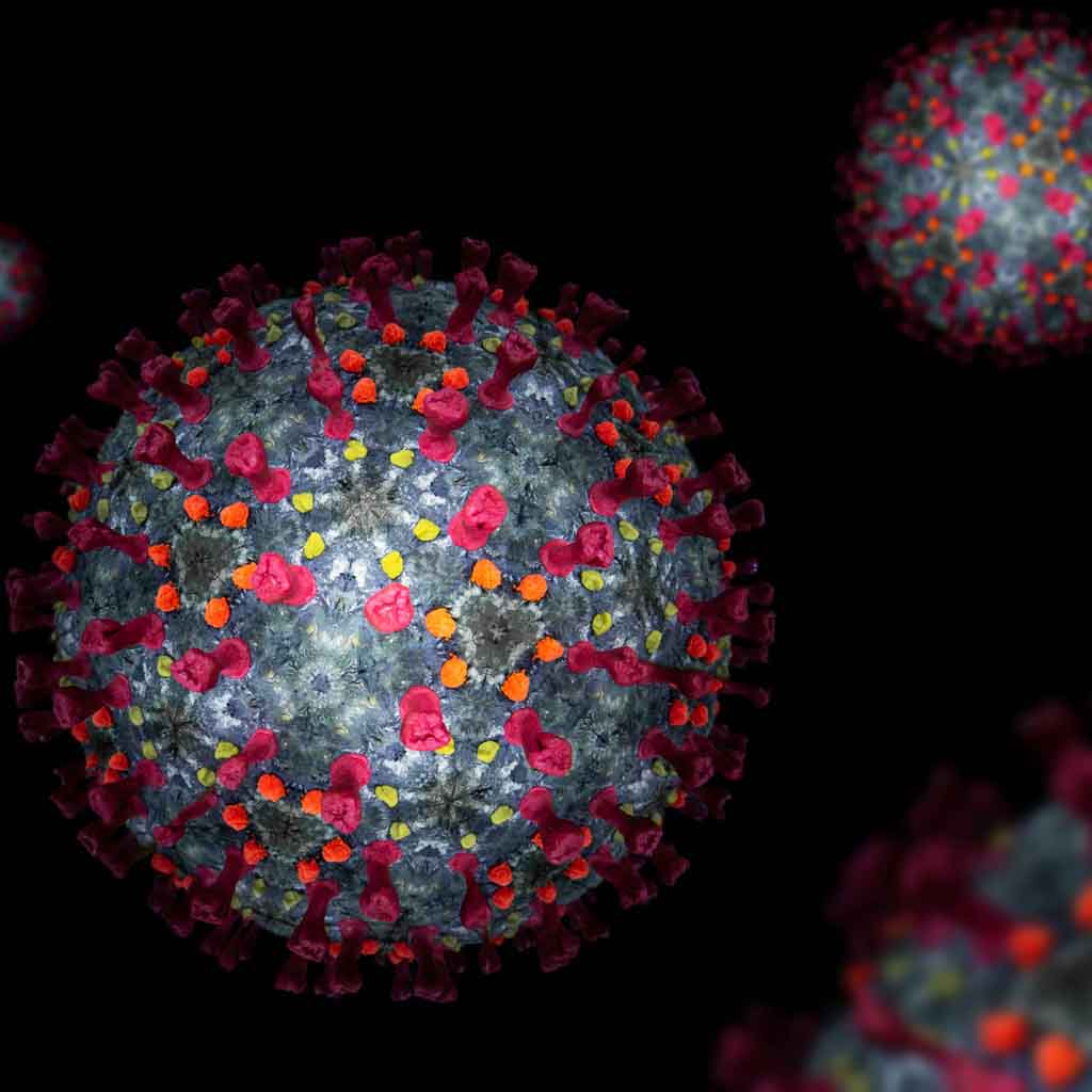 double mutant COVID-19 variant